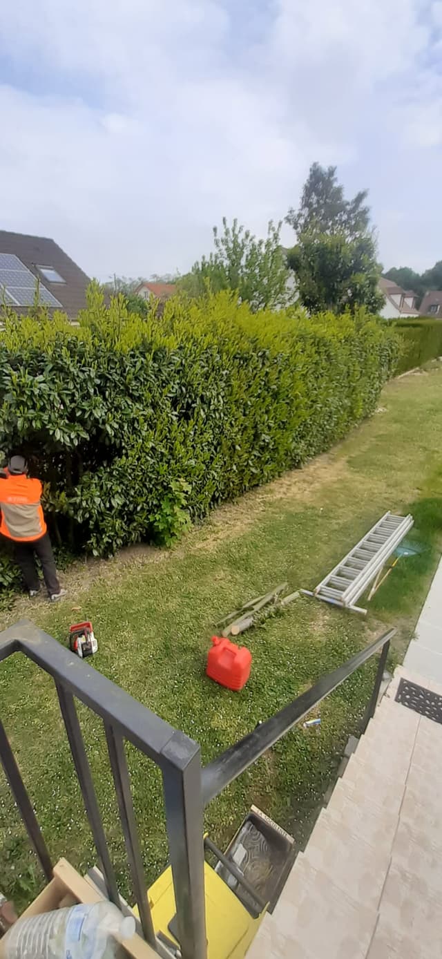 fin d'un chantier d'élagage à Chantilly